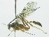  ( - INB0003160210)  @11 [ ] Copyright (2011) R. Zuniga Unspecified