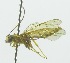  ( - INB0003312807)  @12 [ ] Copyright (2011) R. Zuniga Unspecified