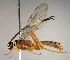  ( - INB0003333850)  @11 [ ] Copyright (2010) Ronald Zuniga Unspecified
