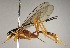  ( - INB0003414924)  @11 [ ] Copyright (2010) Ronald Zuniga Unspecified