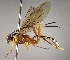  ( - INB0003552445)  @14 [ ] Copyright (2010) Ronald Zuniga Unspecified