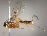  ( - INB0003552494)  @14 [ ] Copyright (2010) Ronald Zuniga Unspecified