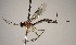  ( - INB0003716714)  @12 [ ] Copyright (2010) Ronald Zuniga Unspecified