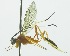  ( - INB0003798878)  @11 [ ] Copyright (2011) R. Zuniga Unspecified