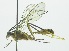  ( - INB0003953007)  @12 [ ] Copyright (2011) R.Zuniga INBio