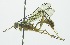  ( - INB0003966752)  @13 [ ] Copyright (2011) R.Zuniga INBio