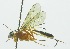  ( - INB0003970010)  @12 [ ] Copyright (2011) R. Zuniga Unspecified