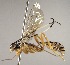  ( - INB0003970048)  @13 [ ] Copyright (2010) Ronald Zuniga Unspecified