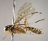  ( - INB0003970074)  @14 [ ] Copyright (2010) Ronald Zuniga Unspecified