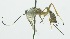  ( - INB0003973430)  @12 [ ] Copyright (2011) R. Zuniga Unspecified