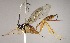  ( - INB0003983517)  @14 [ ] Copyright (2010) Ronald Zuniga Unspecified