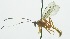  ( - INB0003995961)  @12 [ ] Copyright (2011) R. Zuniga Unspecified