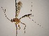  ( - INB0004168675)  @13 [ ] Copyright (2010) Ronald Zuniga Unspecified