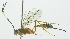  ( - INB0004196528)  @12 [ ] Copyright (2011) R. Zuniga Unspecified