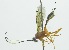  ( - INB0004196712)  @13 [ ] Copyright (2011) R. Zuniga Unspecified