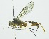  ( - INB0004215384)  @12 [ ] Copyright (2011) R. Zuniga Unspecified