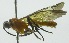  ( - INB0004257219)  @12 [ ] Copyright (2011) R. Zuniga INBio