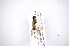  ( - INB0003361595)  @11 [ ] Copyright (2012) M. Zumbado Instituto Nacional de Biodiversidad