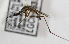  ( - INB0004319236)  @11 [ ] Copyright (2012) L.G. Chaverri Instituto Nacional de Biodiversidad
