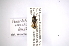  ( - INBIOCRI001811571)  @11 [ ] Copyright (2012) M. Zumbado Instituto Nacional de Biodiversidad