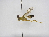  ( - INB0003373558)  @11 [ ] Copyright (2012) Braulio Hernandez Instituto Nacional de Biodiversidad
