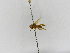  ( - INB0003495194)  @11 [ ] Copyright (2012) Braulio Hernandez Instituto Nacional de Biodiversidad