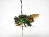  ( - INB0003779358)  @13 [ ] Copyright (2012) Braulio Hernandez Instituto Nacional de Biodiversidad