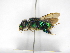  ( - INB0003871894)  @12 [ ] Copyright (2012) Braulio Hernandez Instituto Nacional de Biodiversidad