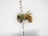  ( - INB0004027915)  @11 [ ] Copyright (2012) Braulio Hernandez Instituto Nacional de Biodiversidad