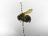  ( - INB0004034382)  @11 [ ] Copyright (2012) Braulio Hernandez Instituto Nacional de Biodiversidad