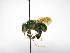  ( - INB0004084227)  @13 [ ] Copyright (2012) Braulio Hernandez Instituto Nacional de Biodiversidad