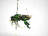  ( - INB0004241881)  @11 [ ] Copyright (2012) Braulio Hernandez Instituto Nacional de Biodiversidad