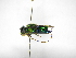  ( - INB0004286794)  @13 [ ] Copyright (2012) Braulio Hernandez Instituto Nacional de Biodiversidad