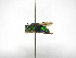  ( - INBIOCRI000210184)  @11 [ ] Copyright (2012) Braulio Hernandez Instituto Nacional de Biodiversidad