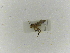  ( - INBIOCRI000716796)  @11 [ ] Copyright (2012) Braulio Hernandez Instituto Nacional de Biodiversidad