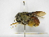  ( - INBIOCRI000739270)  @11 [ ] Copyright (2012) Braulio Hernandez Instituto Nacional de Biodiversidad