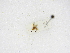  ( - INBIOCRI000846163)  @11 [ ] Copyright (2012) B. Hernandez Instituto Nacional de Biodiversidad