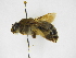  ( - INBIOCRI001205960)  @11 [ ] Copyright (2012) Braulio Hernandez Instituto Nacional de Biodiversidad