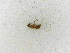  ( - INBIOCRI001290305)  @11 [ ] Copyright (2012) Braulio Hernandez Instituto Nacional de Biodiversidad