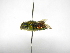  ( - INBIOCRI001307307)  @11 [ ] Copyright (2012) Braulio Hernandez Instituto Nacional de Biodiversidad