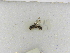  ( - INBIOCRI001973185)  @11 [ ] Copyright (2012) Braulio Hernandez Instituto Nacional de Biodiversidad