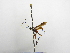  ( - INBIOCRI002292281)  @11 [ ] Copyright (2012) B. Hernandez Instituto Nacional de Biodiversidad