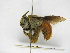  ( - INBIOCRI002324812)  @11 [ ] Copyright (2012) Braulio Hernandez Instituto Nacional de Biodiversidad