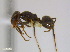  ( - JJ-L1-02)  @14 [ ] CreativeCommons - Attribution (2011) M. Alex Smith Centre for Biodiversity Genomics