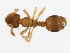  ( - 09GUANTS-196)  @12 [ ] CreativeCommons - Attribution (2010) CBG Photography Group Centre for Biodiversity Genomics