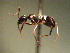  ( - MAS123-08)  @13 [ ] Unspecified (default): All Rights Reserved  Unspecified Unspecified