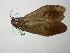  ( - Cau00035)  @13 [ ] Copyright (2010) Unspecified China Agricultural University