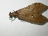  ( - Cau00044)  @13 [ ] Copyright (2010) Unspecified China Agricultural University
