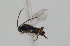  ( - DHJPAR0001546)  @12 [ ] Unspecified (default): All Rights Reserved  Unspecified Unspecified