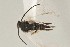  ( - DHJPAR0001546)  @12 [ ] CreativeCommons - Attribution Non-Commercial Share-Alike (2015) Jose L. Fernandez-Triana Canadian National Collection